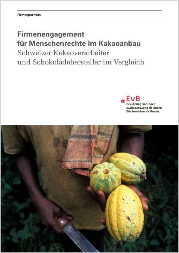 Studie_EvB_fairer_Kakaoanbau_2013