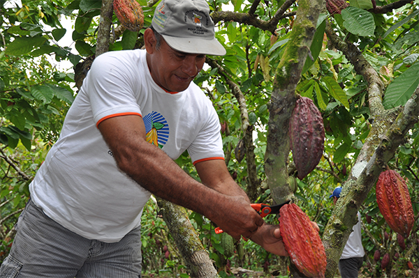 ACOPAGRO